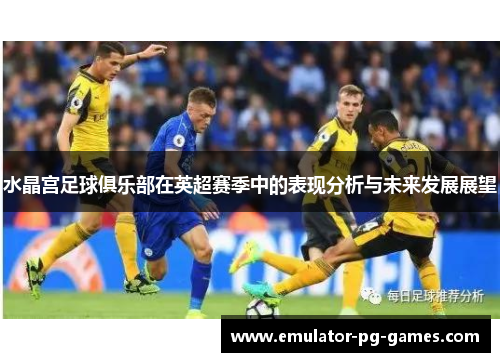 水晶宫足球俱乐部在英超赛季中的表现分析与未来发展展望