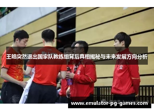王皓突然退出国家队教练组背后真相揭秘与未来发展方向分析